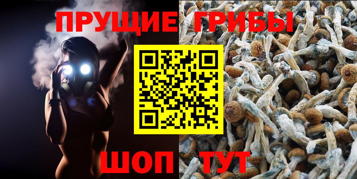 Кизляр  Псилоцибиновые грибы прущие грибы  Галлюциногенные грибы ЛСД  Вход с VPN 